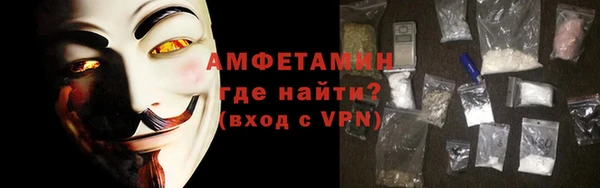 гашик Тайга