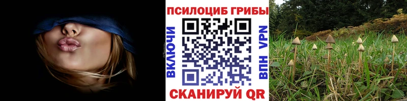 кракен tor Югорск Галлюциногенные грибы ЛСД